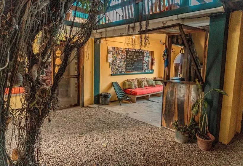 هاستل Bella's Backpackers Cayo