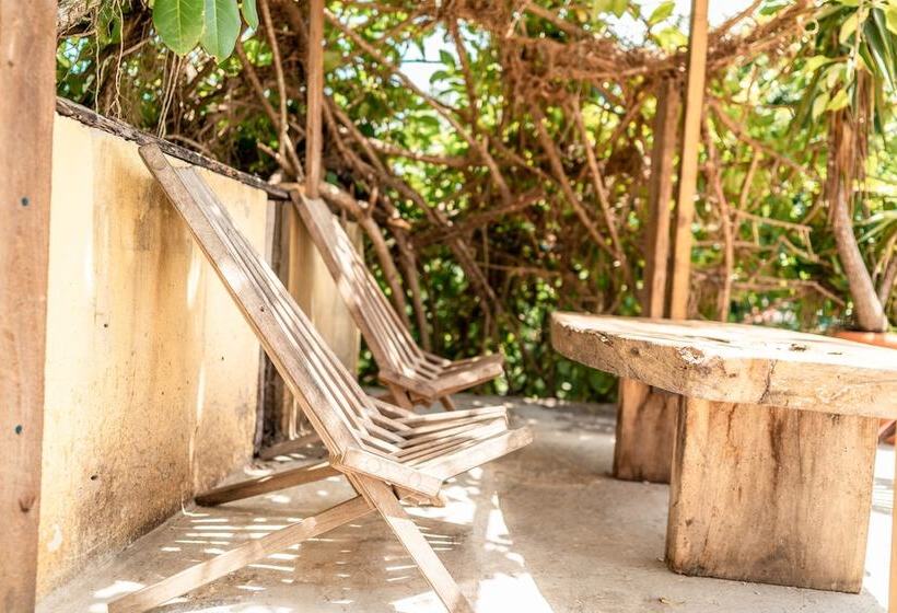 هاستل Bella's Backpackers Cayo