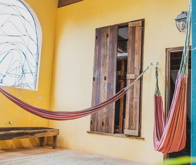 هاستل Bella's Backpackers Cayo