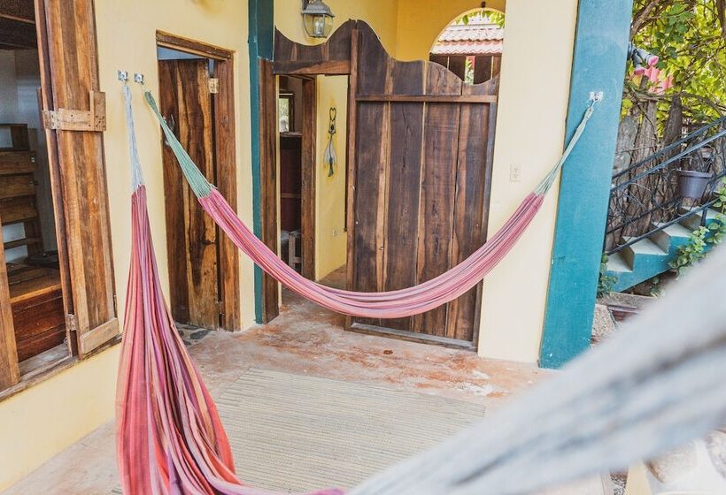 هاستل Bella's Backpackers Cayo