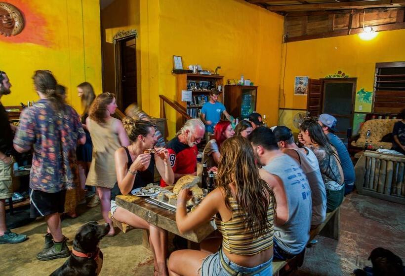 هاستل Bella's Backpackers Cayo