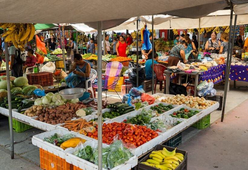 هاستل Bella's Backpackers Cayo