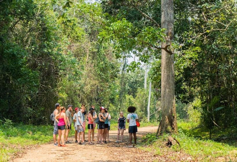 هاستل Bella's Backpackers Cayo