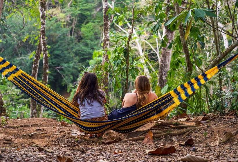 هاستل Bella's Backpackers Cayo