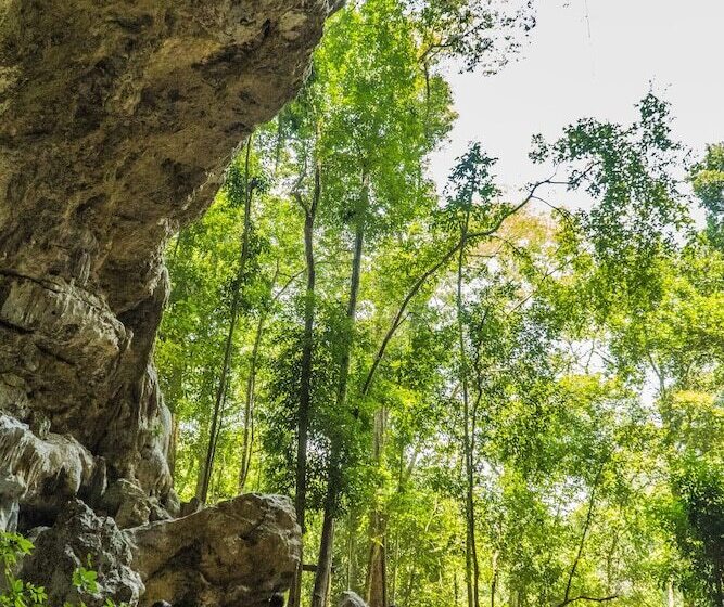 هاستل Bella's Backpackers Cayo