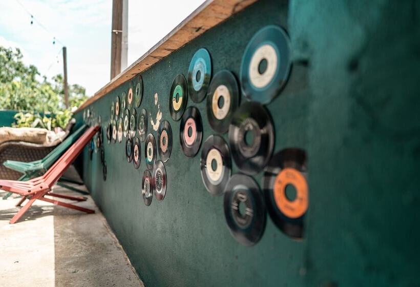 هاستل Bella's Backpackers Cayo