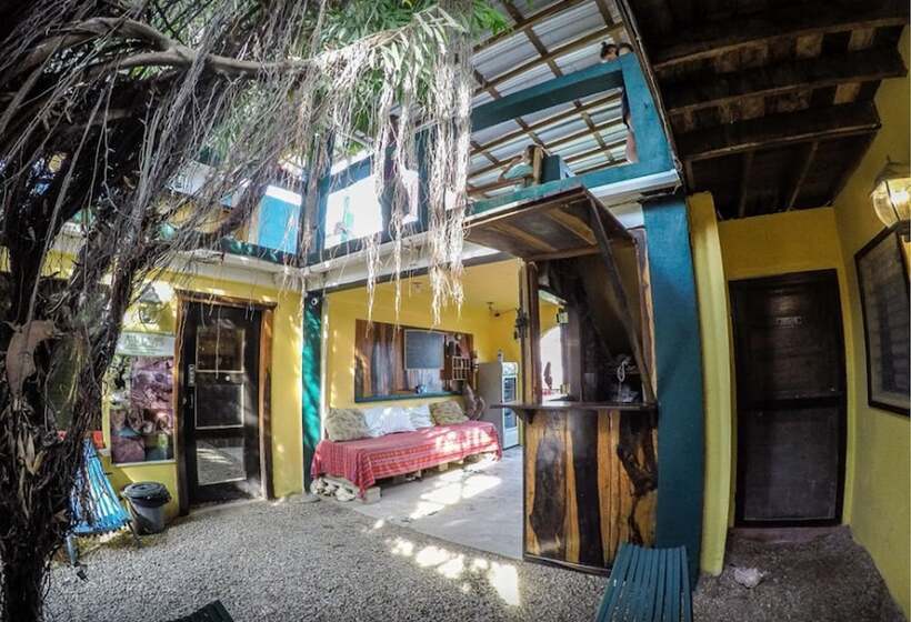 هاستل Bella's Backpackers Cayo