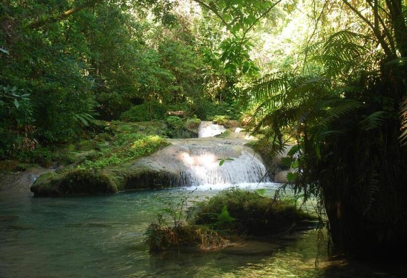 تختخواب و صبحانه Zion Country