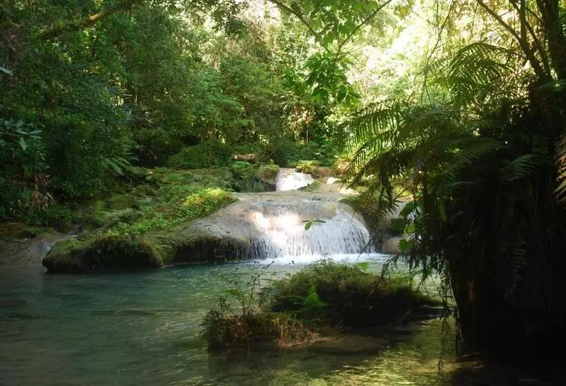 تختخواب و صبحانه Zion Country
