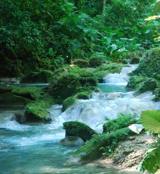 تختخواب و صبحانه Zion Country