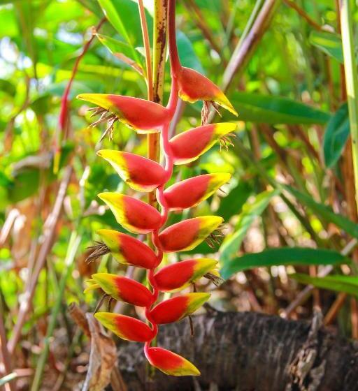 تختخواب و صبحانه Zion Country