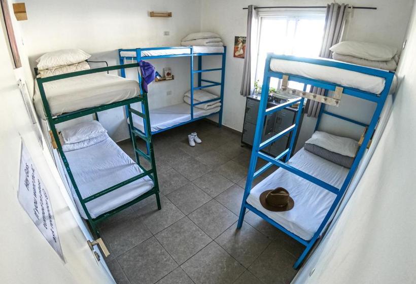 Florentine Backpackers Hostel