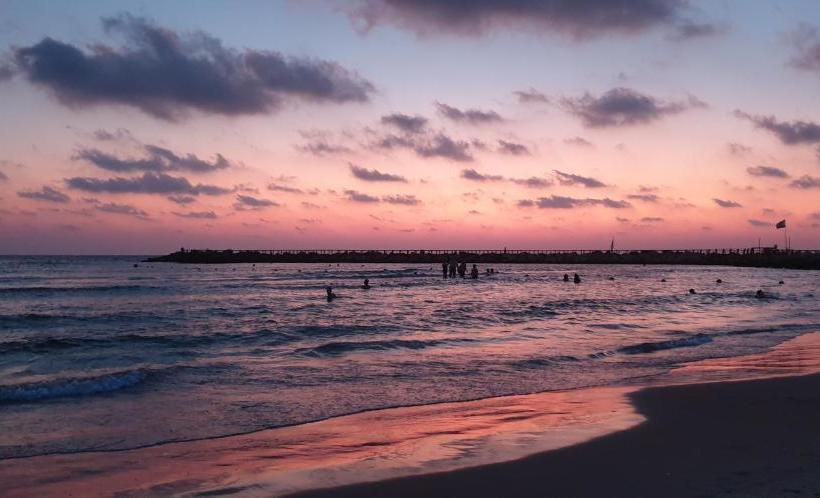 Florentine Backpackers Hostel