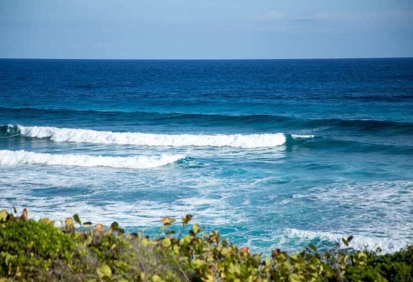 هتل Surfers Manor