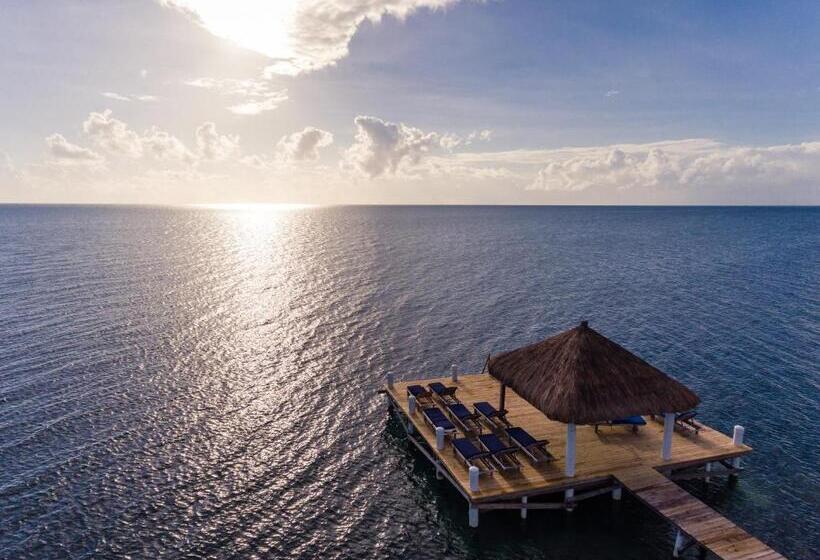 Weezie S Ocean Front Hotel And Garden Cottages