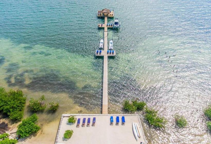 Weezie S Ocean Front Hotel And Garden Cottages