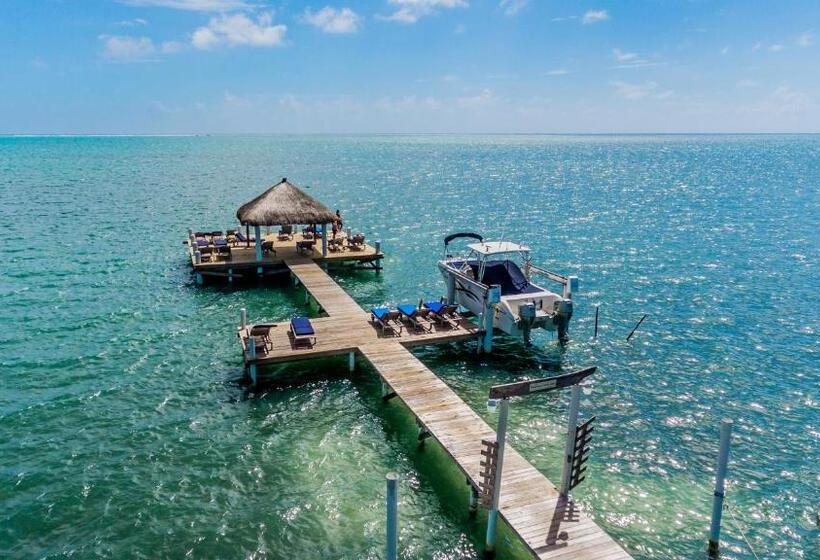 Weezie S Ocean Front Hotel And Garden Cottages