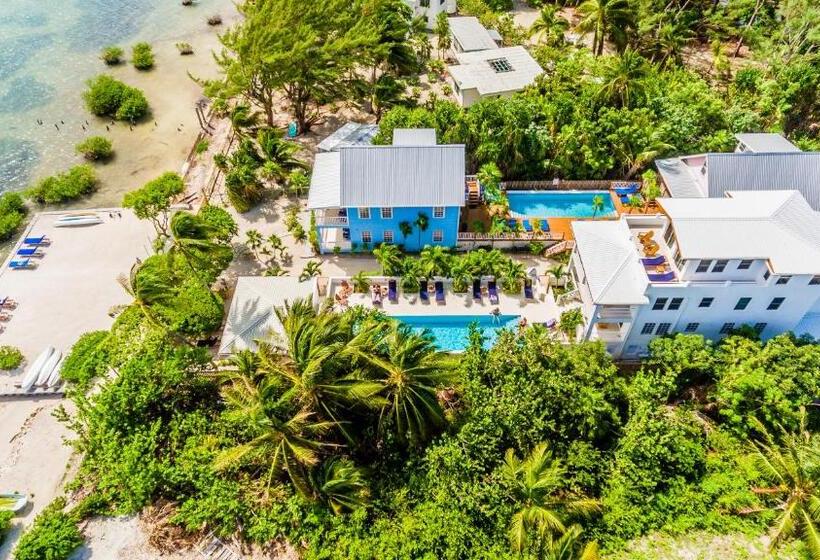 Weezie S Ocean Front Hotel And Garden Cottages