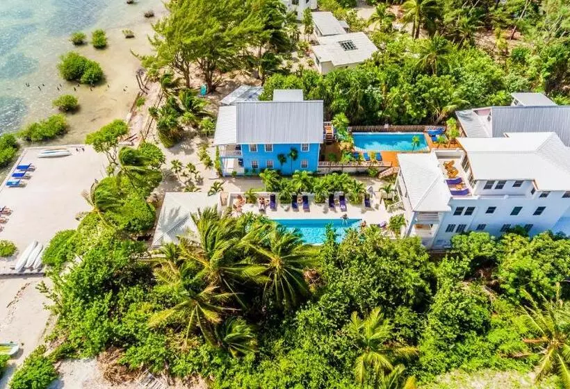 Weezie S Ocean Front Hotel And Garden Cottages