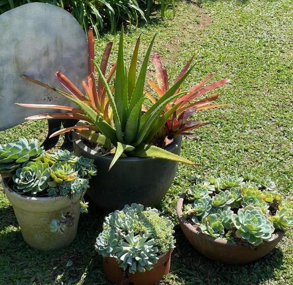 هاستل Pousada Chalés Jardim Das Bromélias   Visconde De Mauá