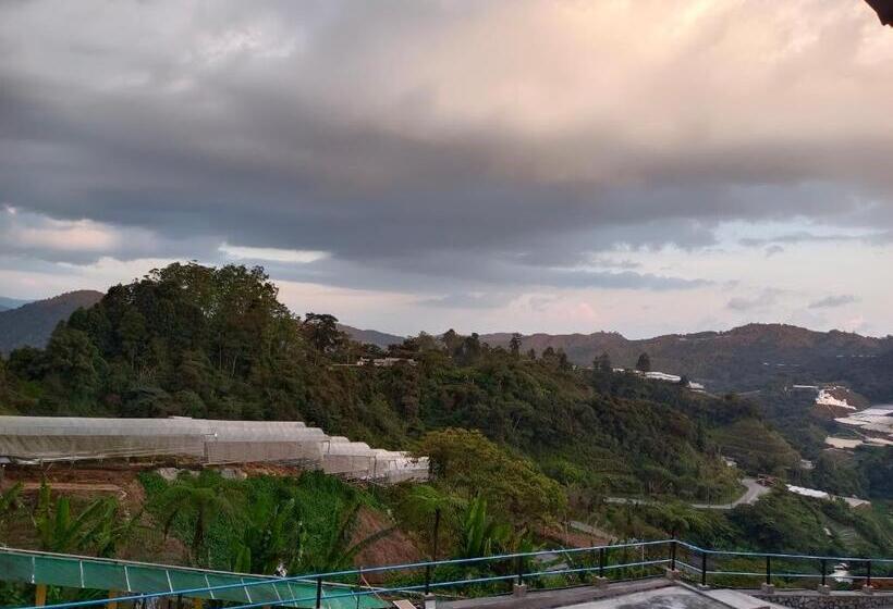 리조트 Cameron Highlands Blueberry Earth House