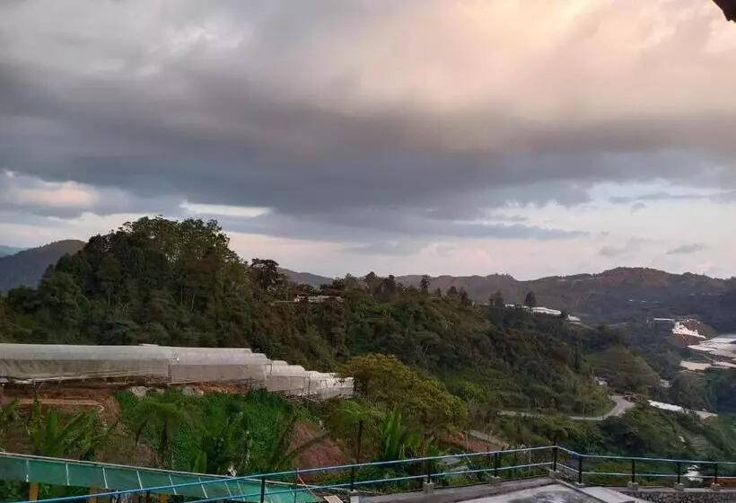 リゾートホテル Cameron Highlands Blueberry Earth House