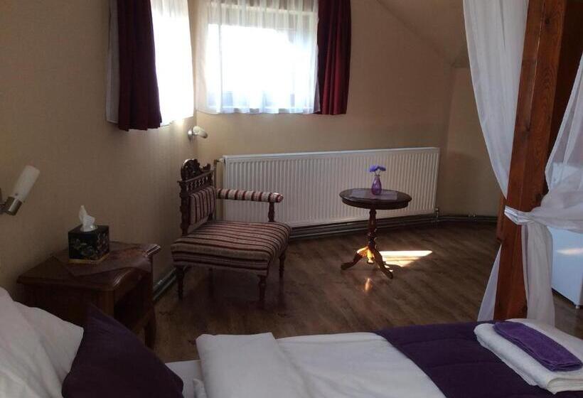 Abszolút Hotel és Panzió