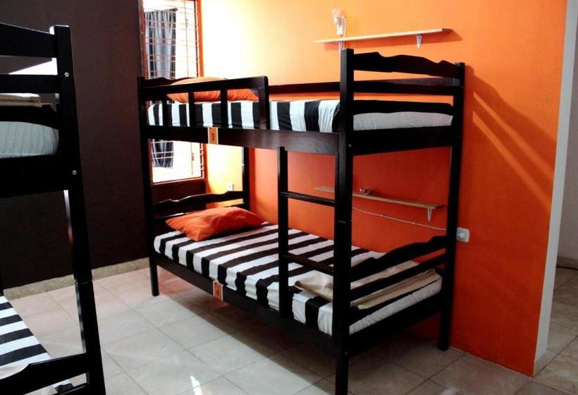 호스텔 Pinisi Backpacker