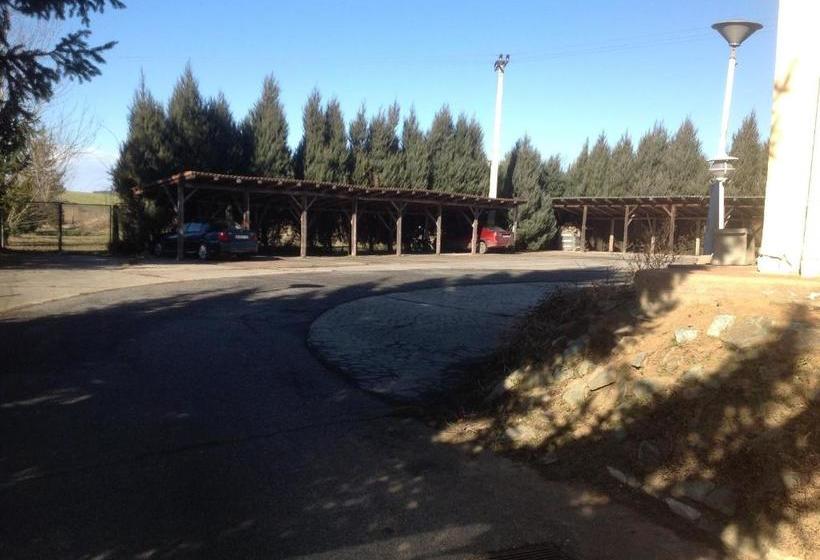 住宿加早餐  Club Torony