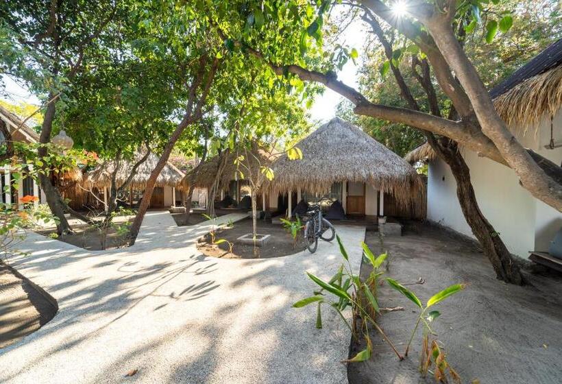 ベッドアンドブレックファースト Mowies Gili Air