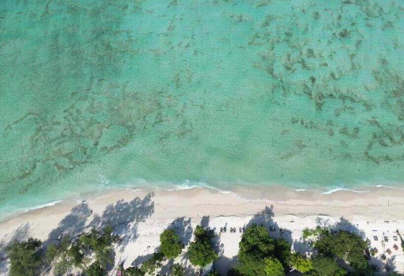 ベッドアンドブレックファースト Mowies Gili Air