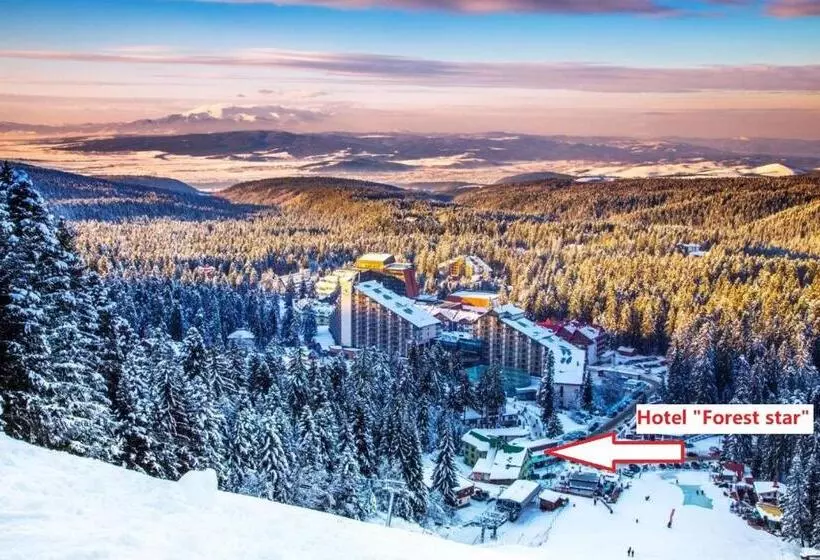 Hotelli Forest Star On The Ski Slope