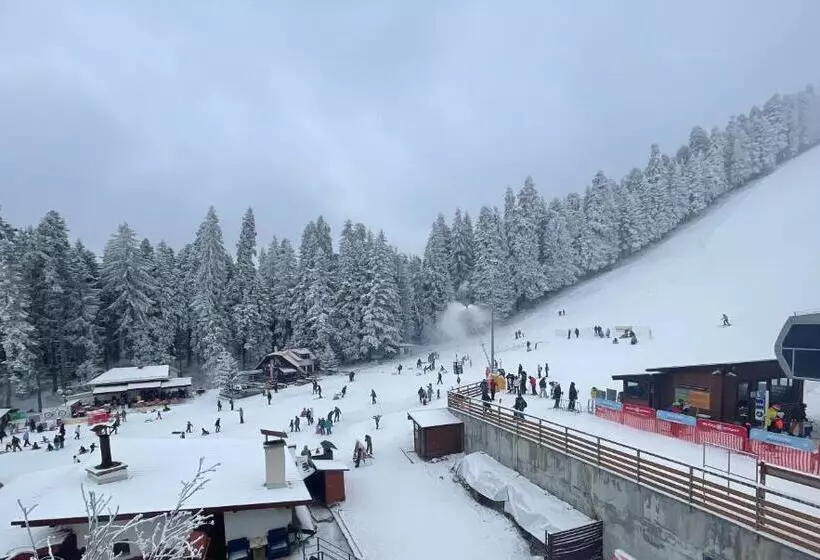 Hotelli Forest Star On The Ski Slope