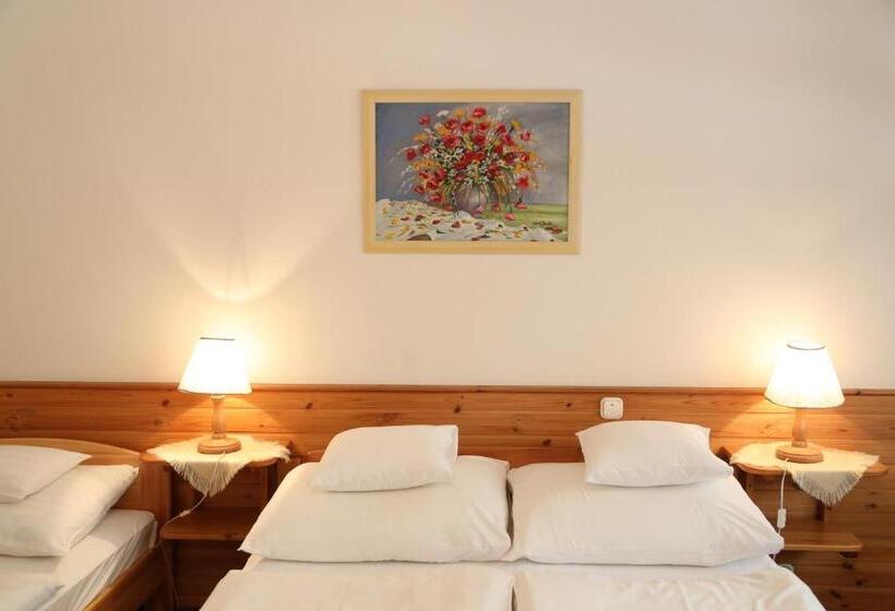 ホテル Hajdú Kastély