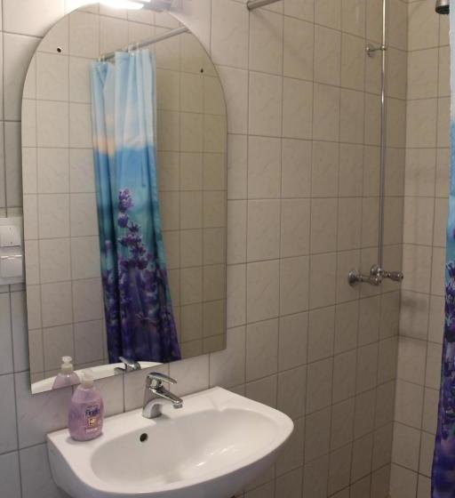 Fotos del hotel Sashalom:  11