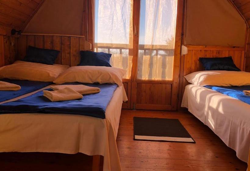 Fotos del hotel Sashalom:  12