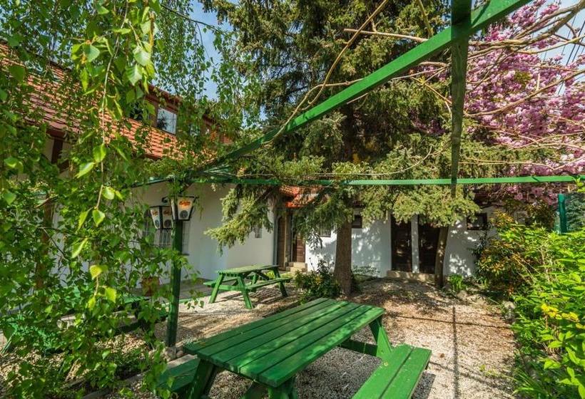 Отель Szent Kristóf Panzió