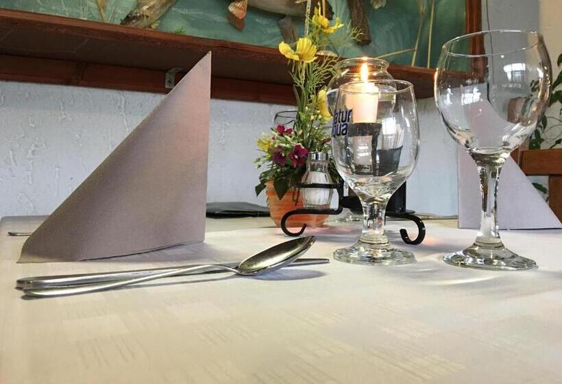 Kis Duna Motel & Camping