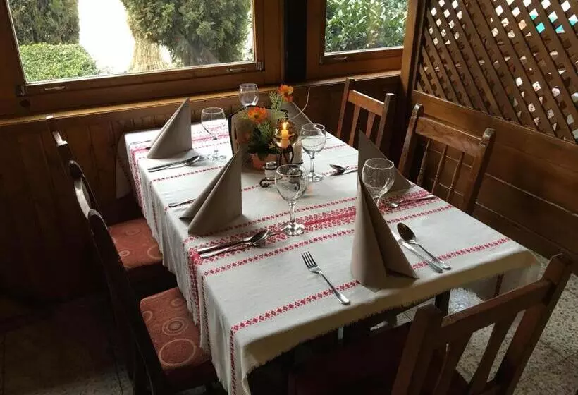 Kis Duna Motel & Camping