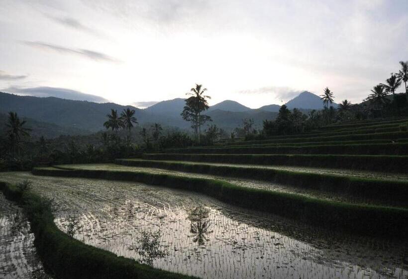 Lesong Hotel And Restaurant