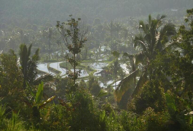 Lesong Hotel And Restaurant