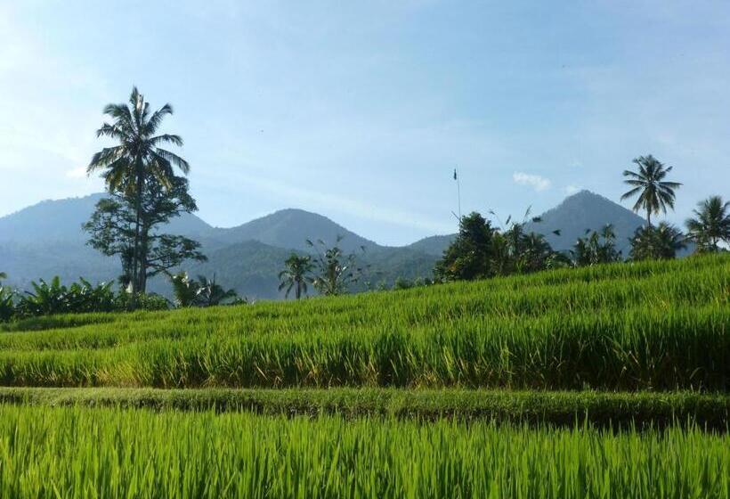 Lesong Hotel And Restaurant