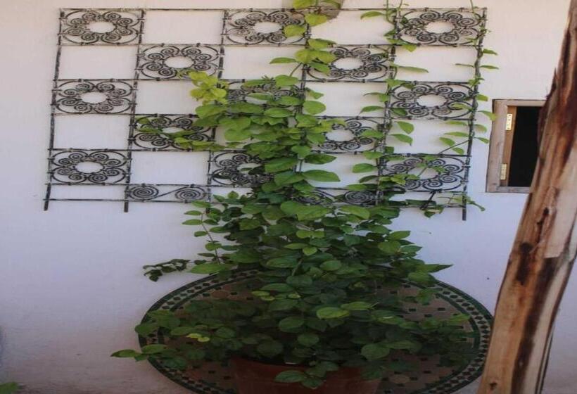 住宿加早餐  Hostel Rcif