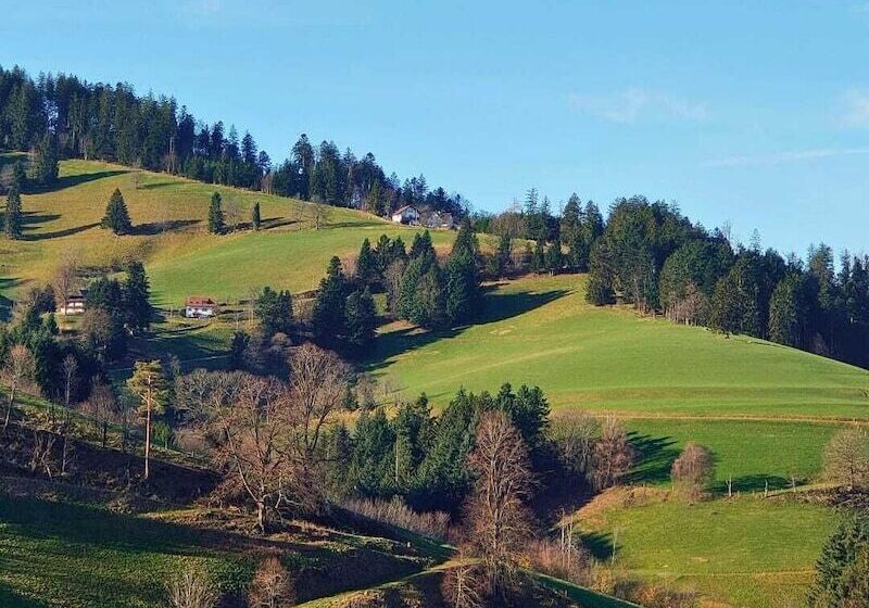 Hostal Gasthaus Zum Raben