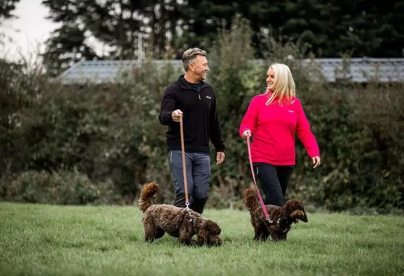 Hotelli Immaculate 3 Bed Lodge In Out Rawcliffe