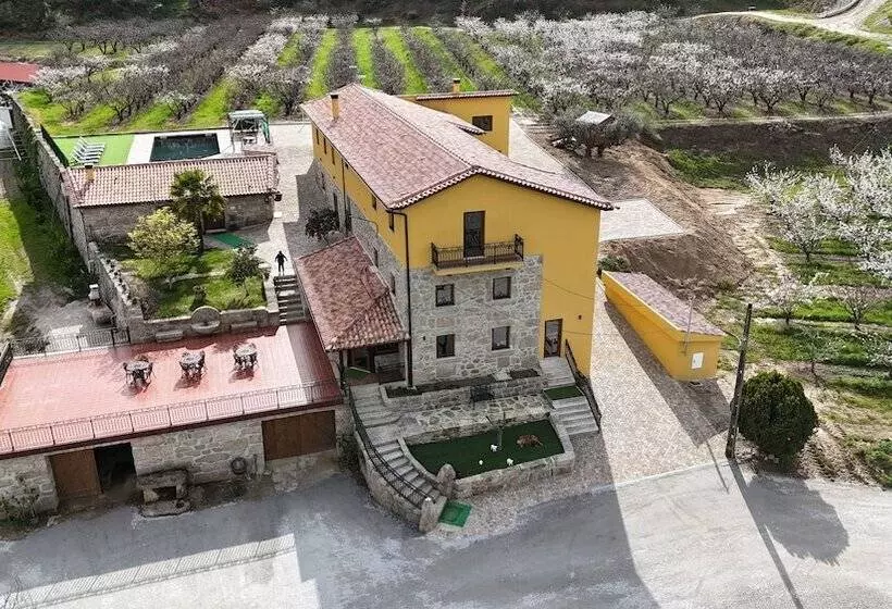 田舎風ホテル Quinta Do Limite Agroturismo