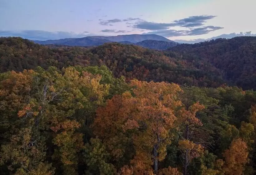 Wild Mountain Honey