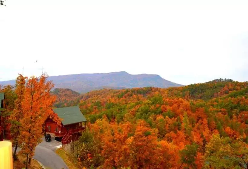 Wild Mountain Honey