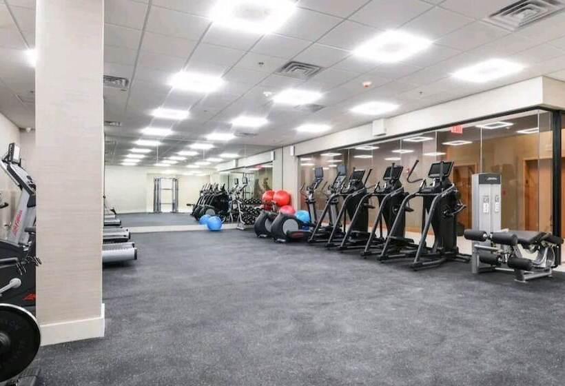 Elite Terrace   Spacious Apt W Terrace