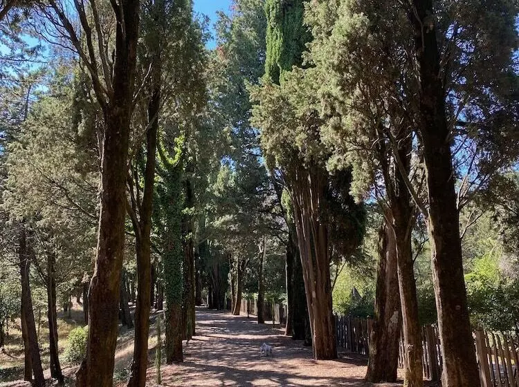 Hostelli Tenuta Di Camporsevoli